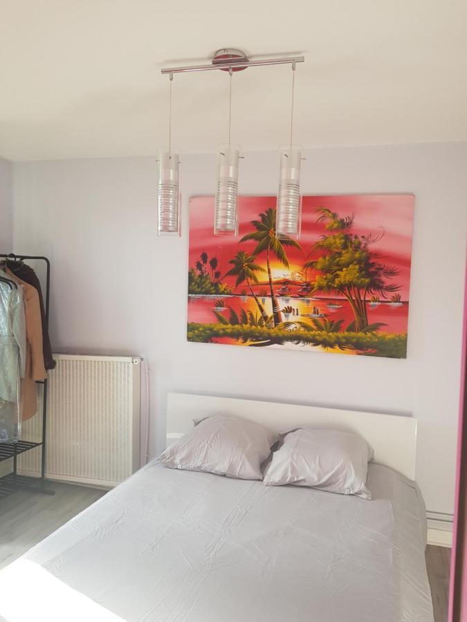 Chambres A Louer Dans Appartement Balcon - Wifi - Parking Gratuit Νεβέρ Εξωτερικό φωτογραφία